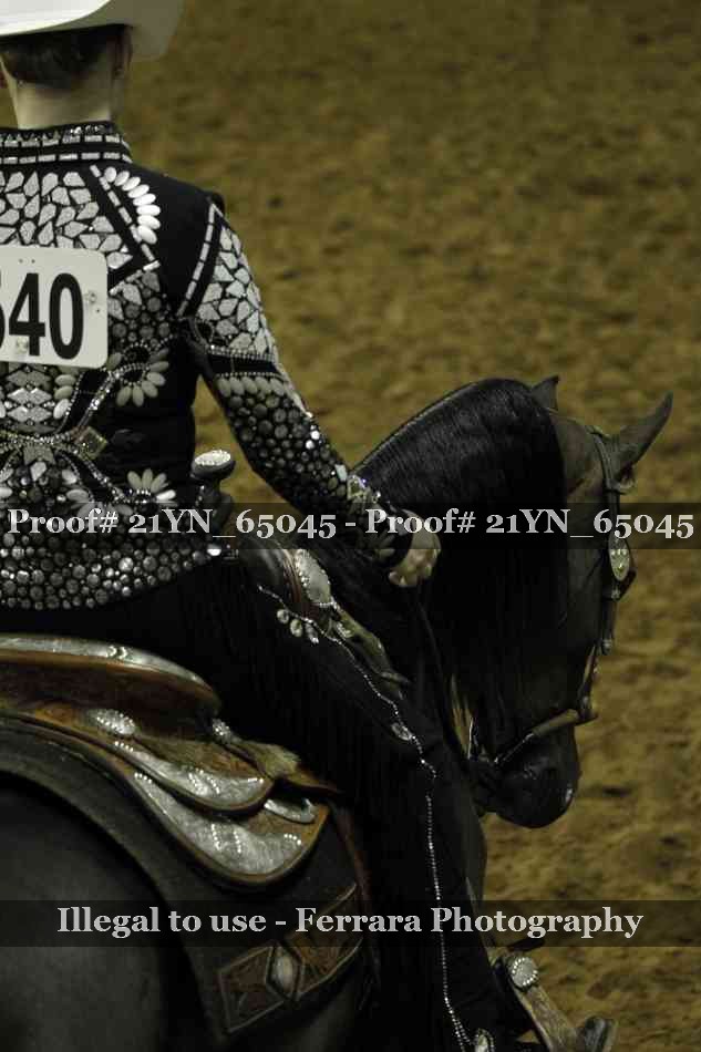Proof 21YN_65045