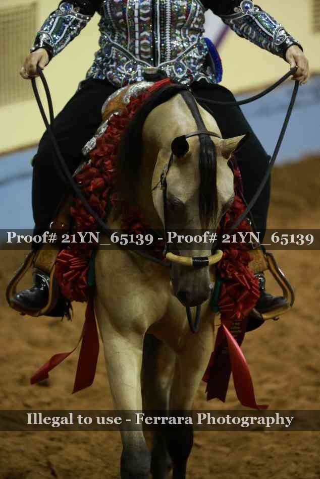 Proof 21YN_65139