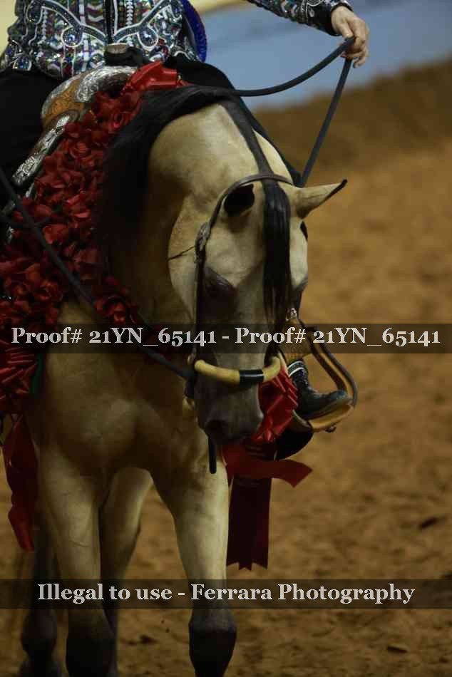 Proof 21YN_65141