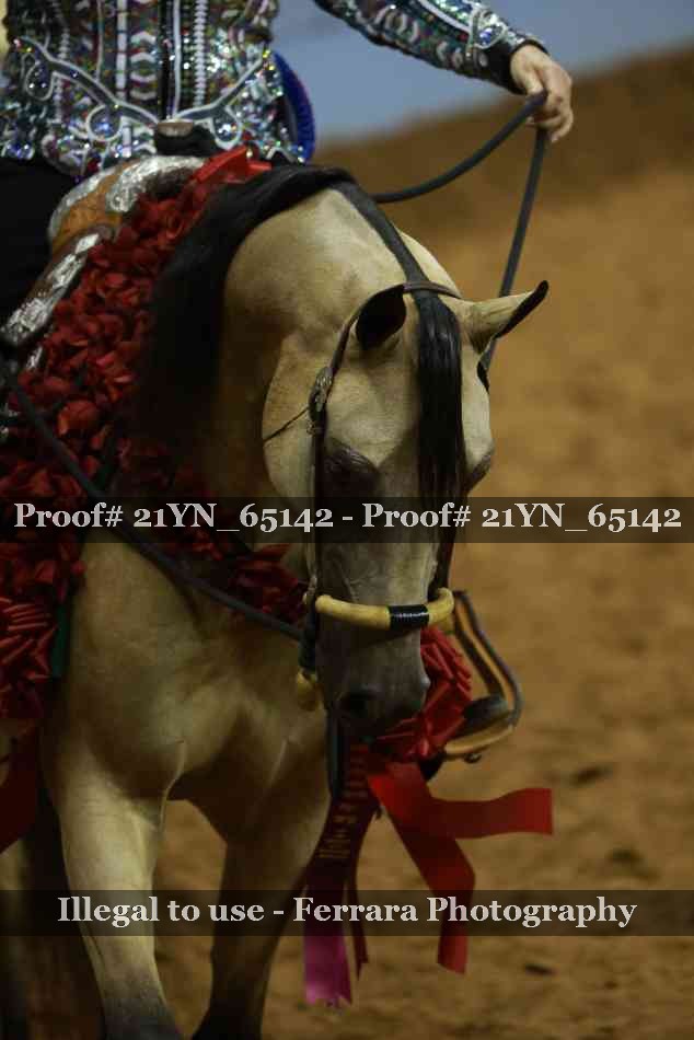 Proof 21YN_65142