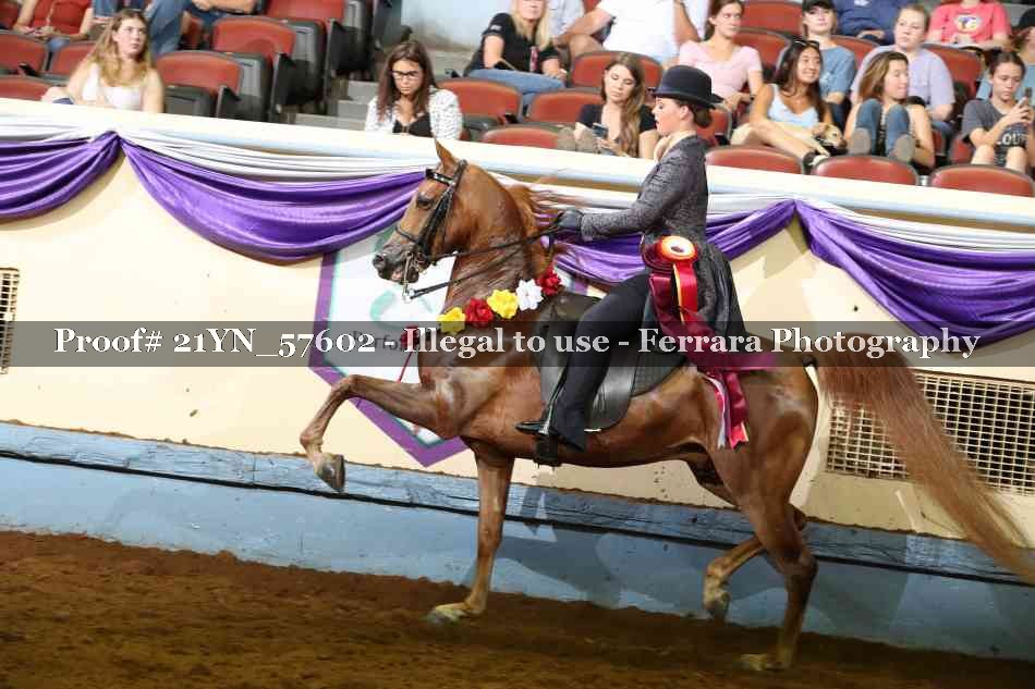 Proof 21YN_57602