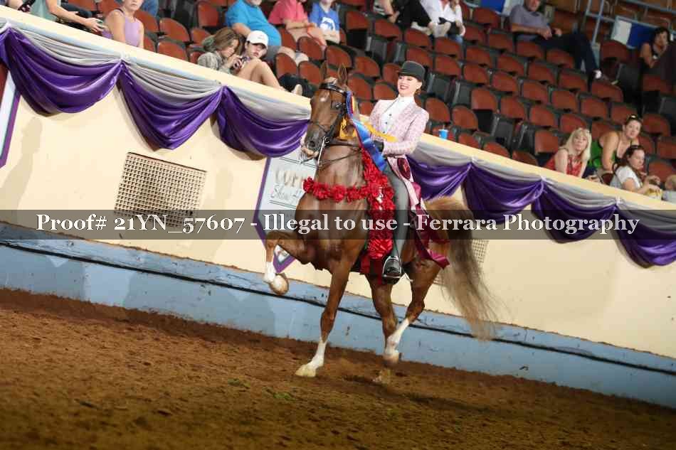 Proof 21YN_57607