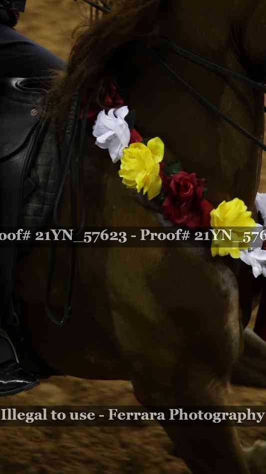 Proof 21YN_57623