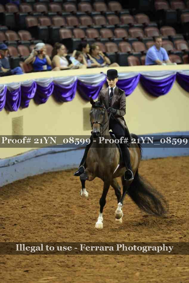 Proof 21YN_08599