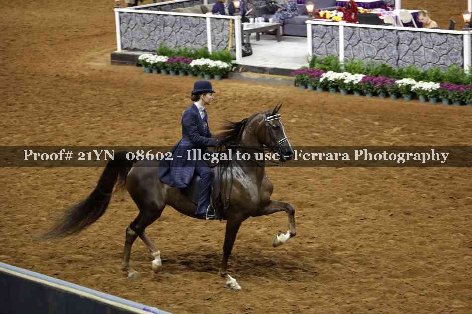 Proof 21YN_08602