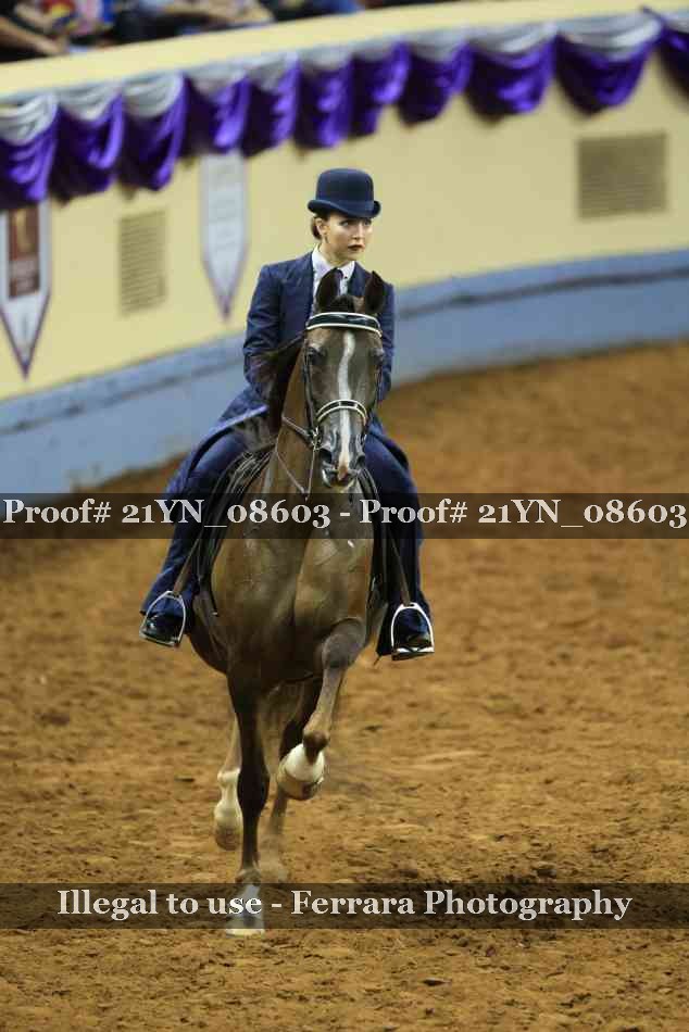 Proof 21YN_08603
