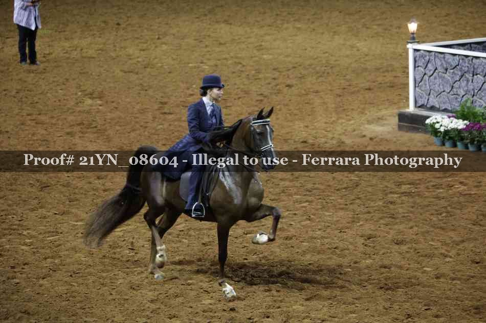 Proof 21YN_08604