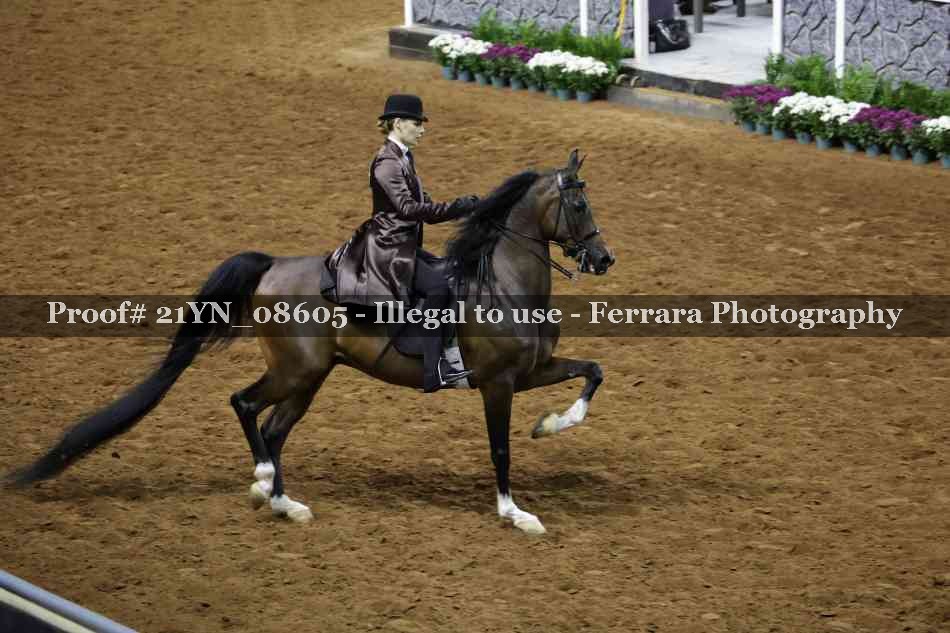 Proof 21YN_08605