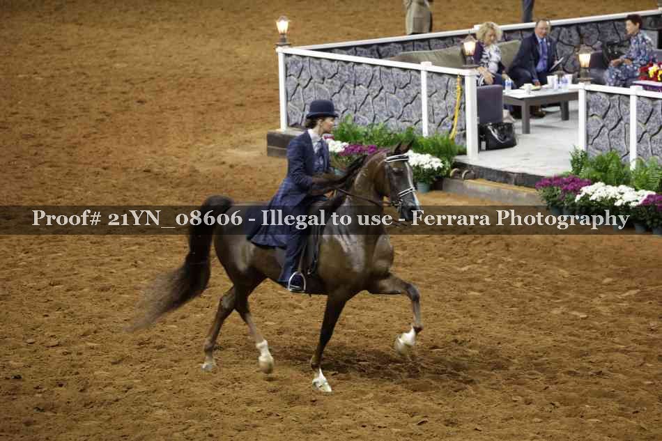 Proof 21YN_08606