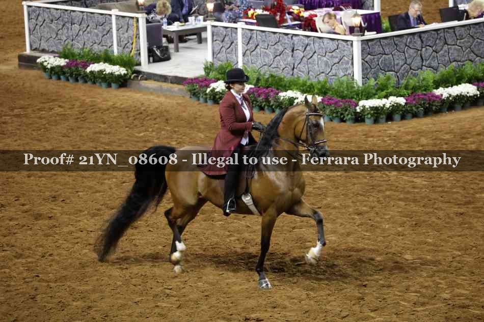 Proof 21YN_08608