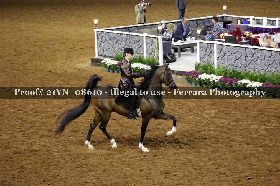 Proof 21YN_08610