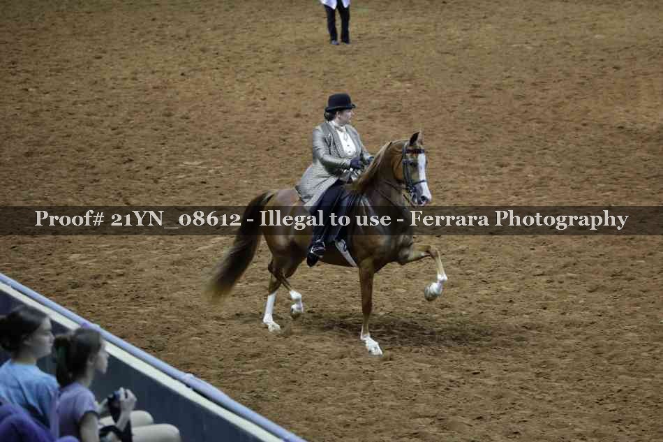 Proof 21YN_08612