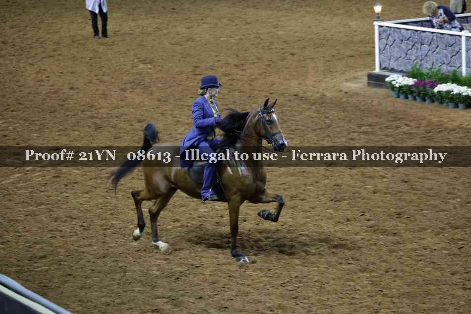Proof 21YN_08613