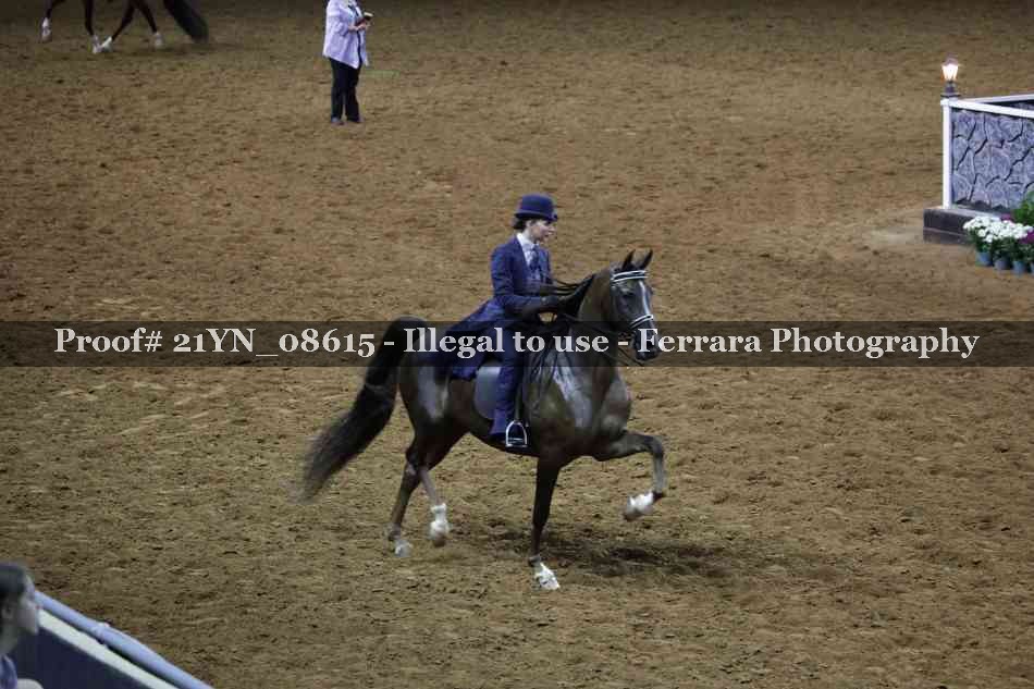 Proof 21YN_08615