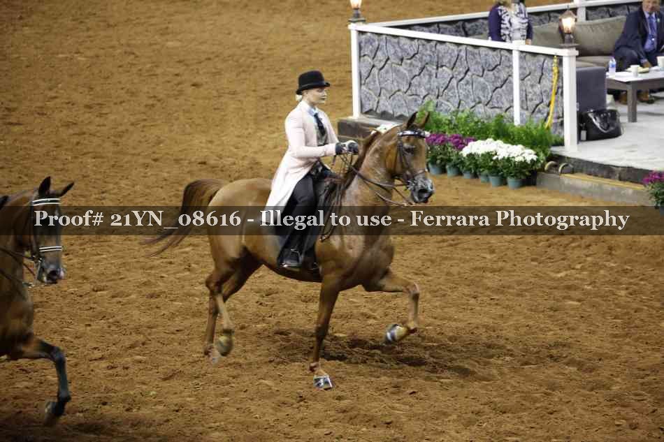 Proof 21YN_08616