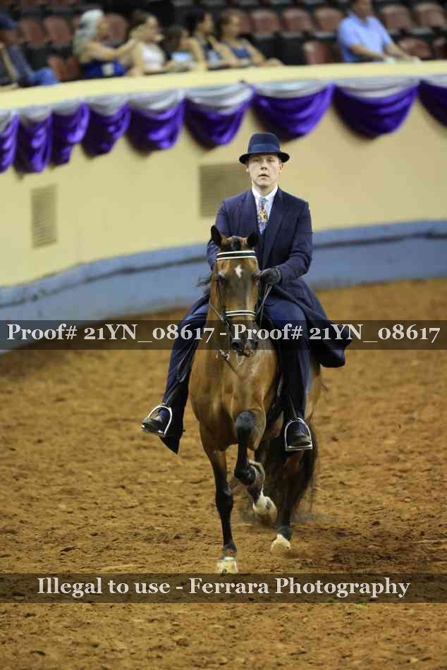Proof 21YN_08617