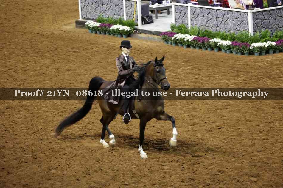 Proof 21YN_08618