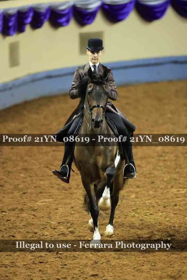 Proof 21YN_08619