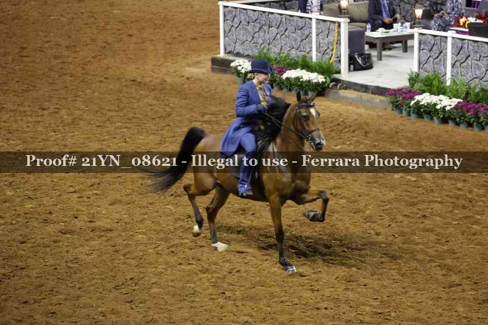 Proof 21YN_08621