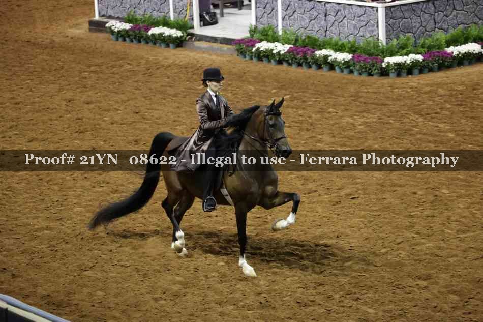 Proof 21YN_08622