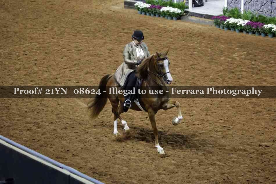 Proof 21YN_08624