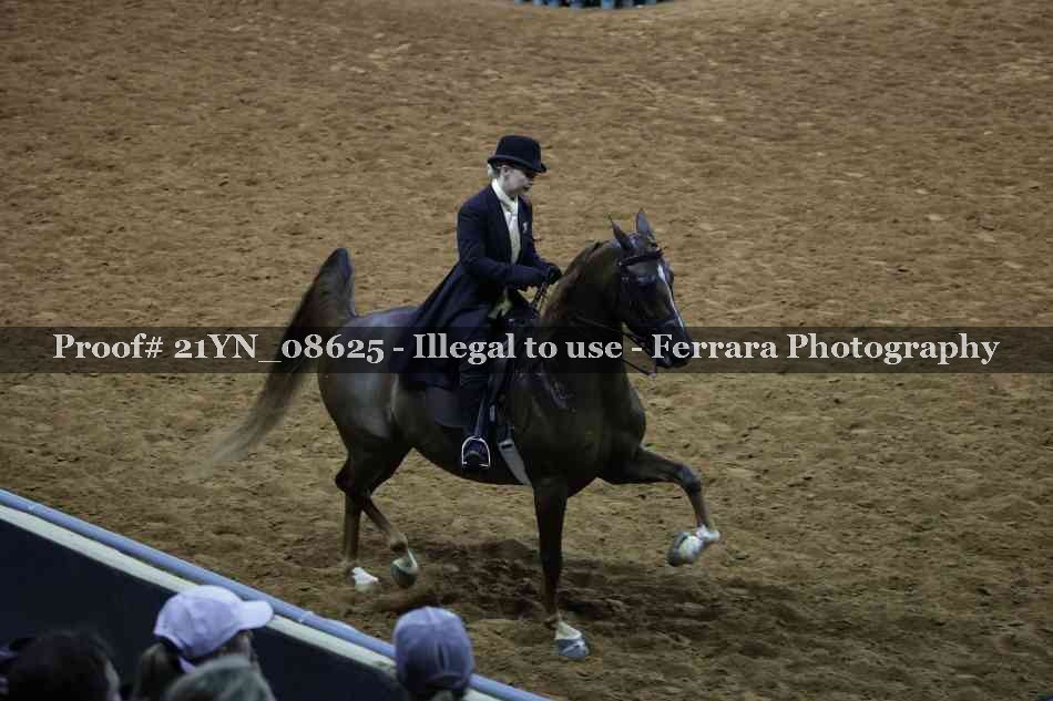 Proof 21YN_08625