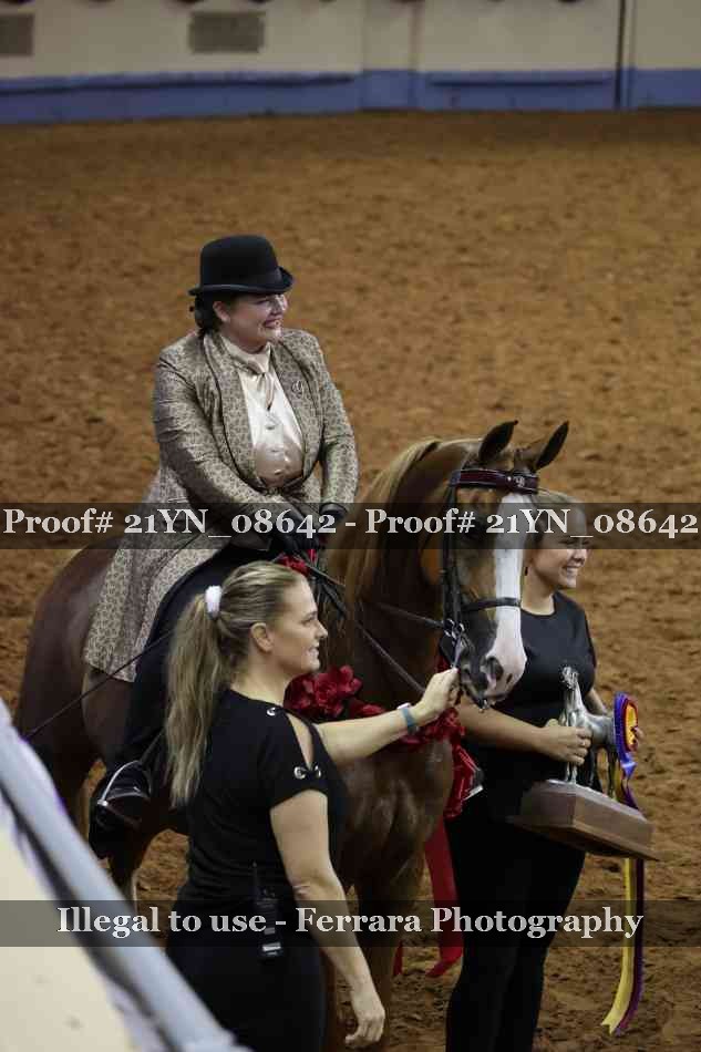 Proof 21YN_08642