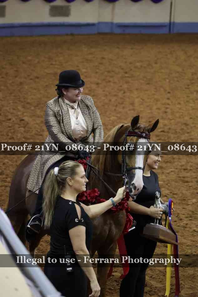 Proof 21YN_08643