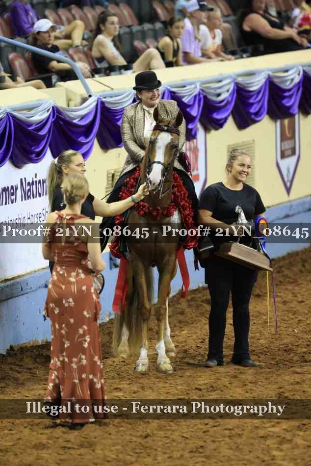Proof 21YN_08645