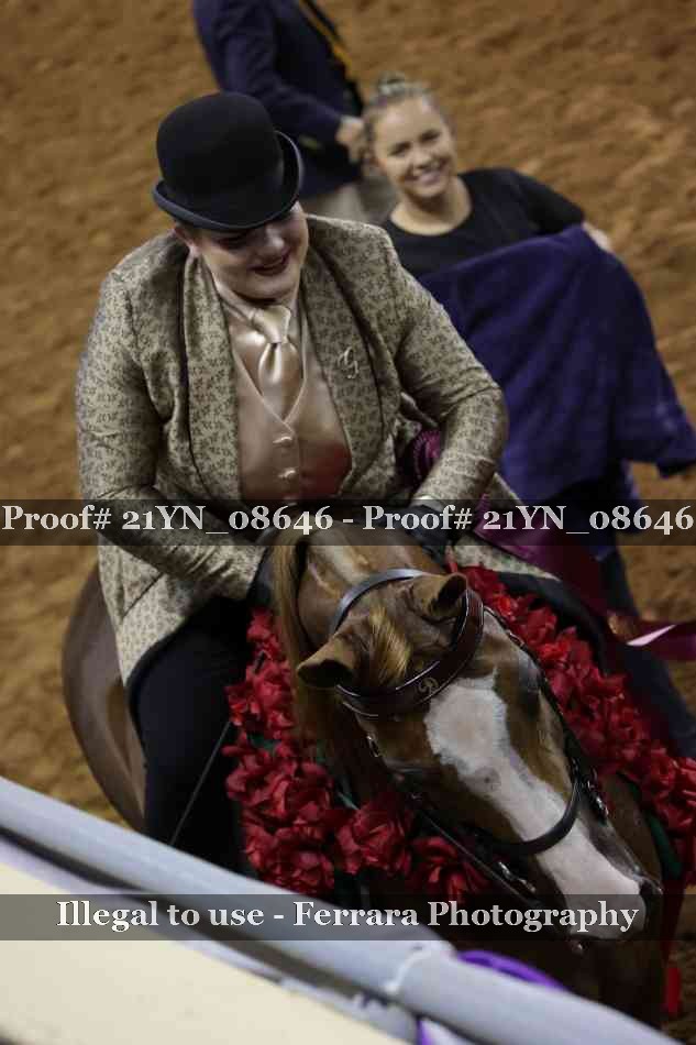 Proof 21YN_08646