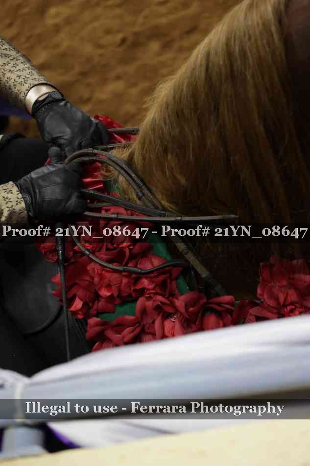 Proof 21YN_08647