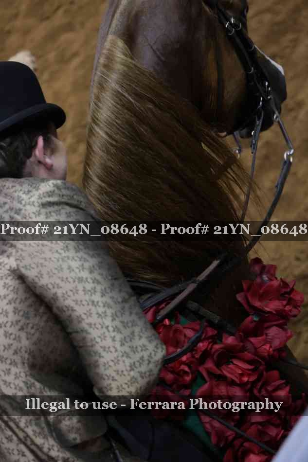 Proof 21YN_08648