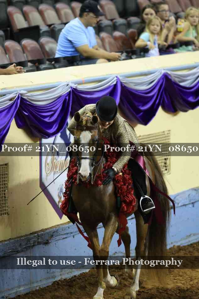Proof 21YN_08650