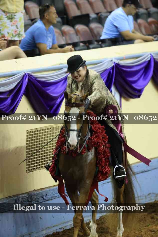 Proof 21YN_08652