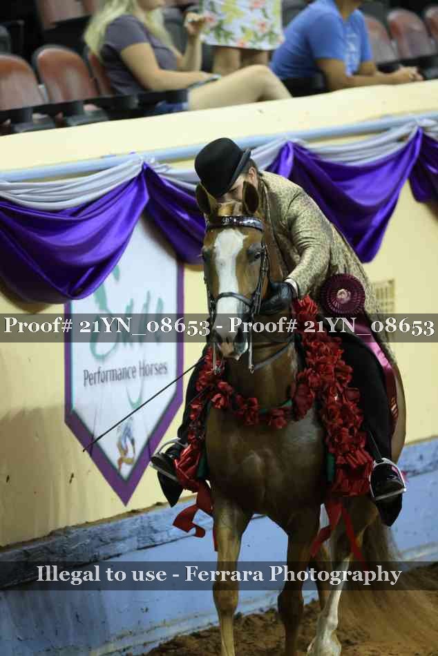 Proof 21YN_08653