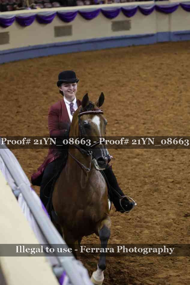 Proof 21YN_08663