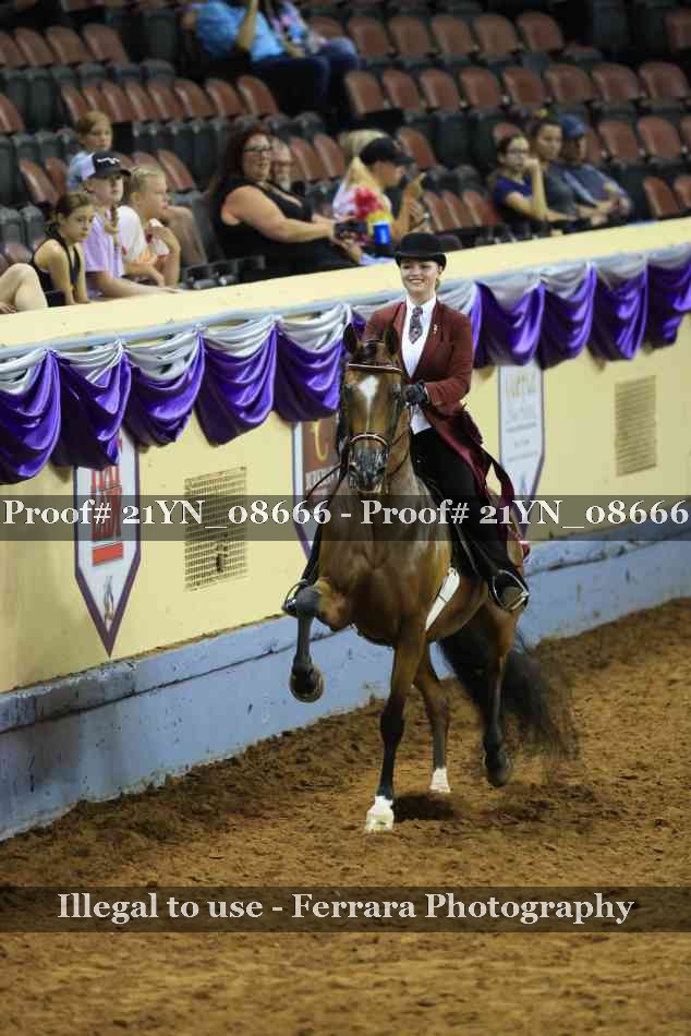 Proof 21YN_08666