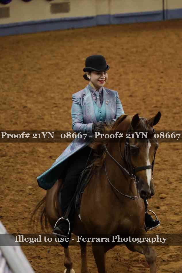 Proof 21YN_08667