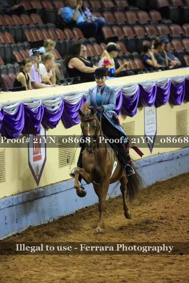 Proof 21YN_08668