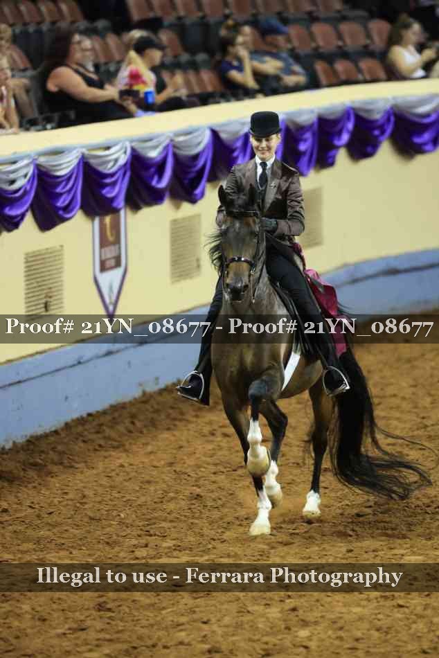 Proof 21YN_08677
