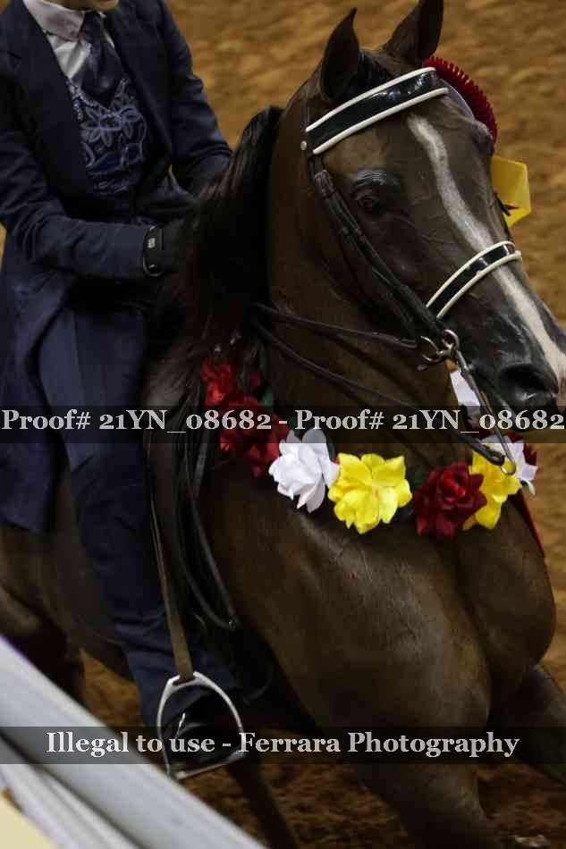 Proof 21YN_08682