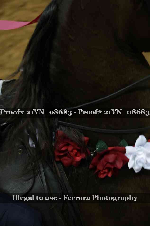 Proof 21YN_08683