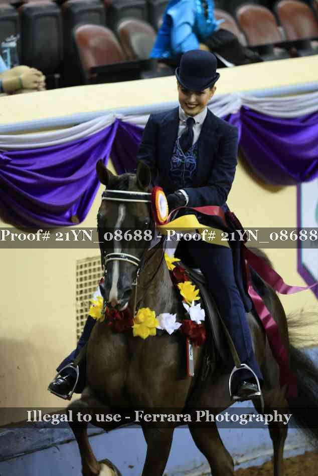 Proof 21YN_08688