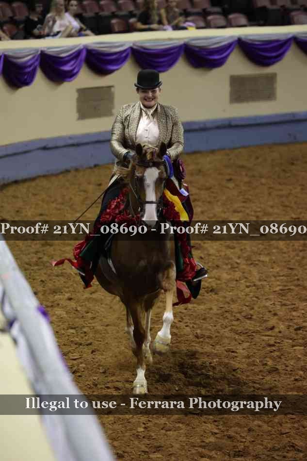 Proof 21YN_08690