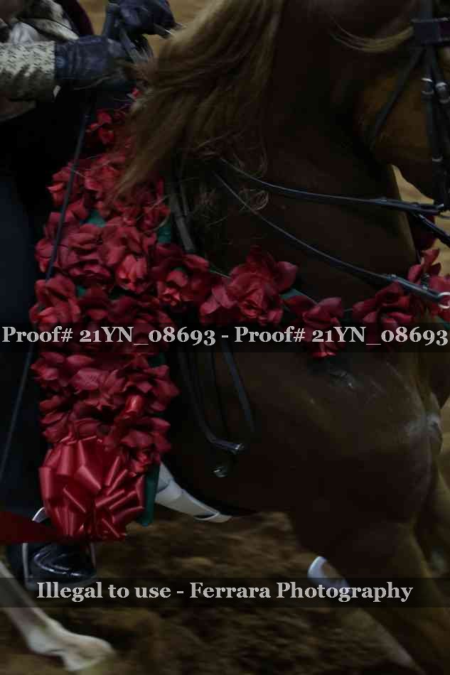 Proof 21YN_08693