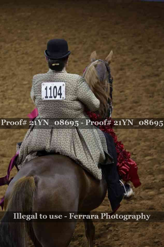 Proof 21YN_08695