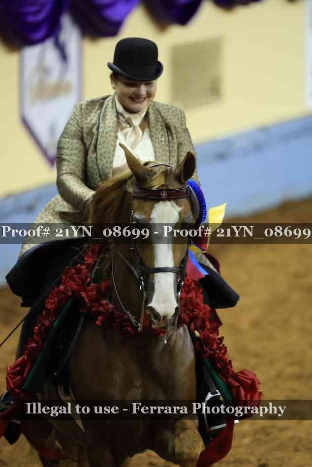 Proof 21YN_08699