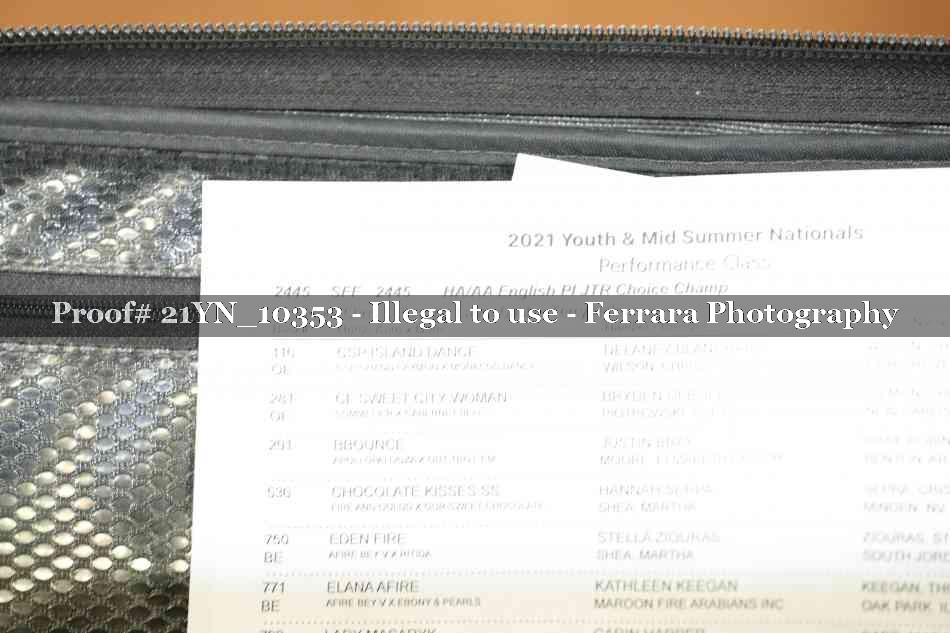 Proof 21YN_10353