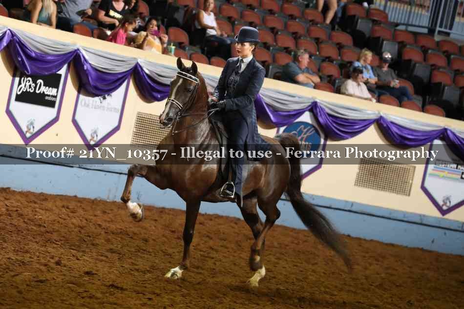 Proof 21YN_10357