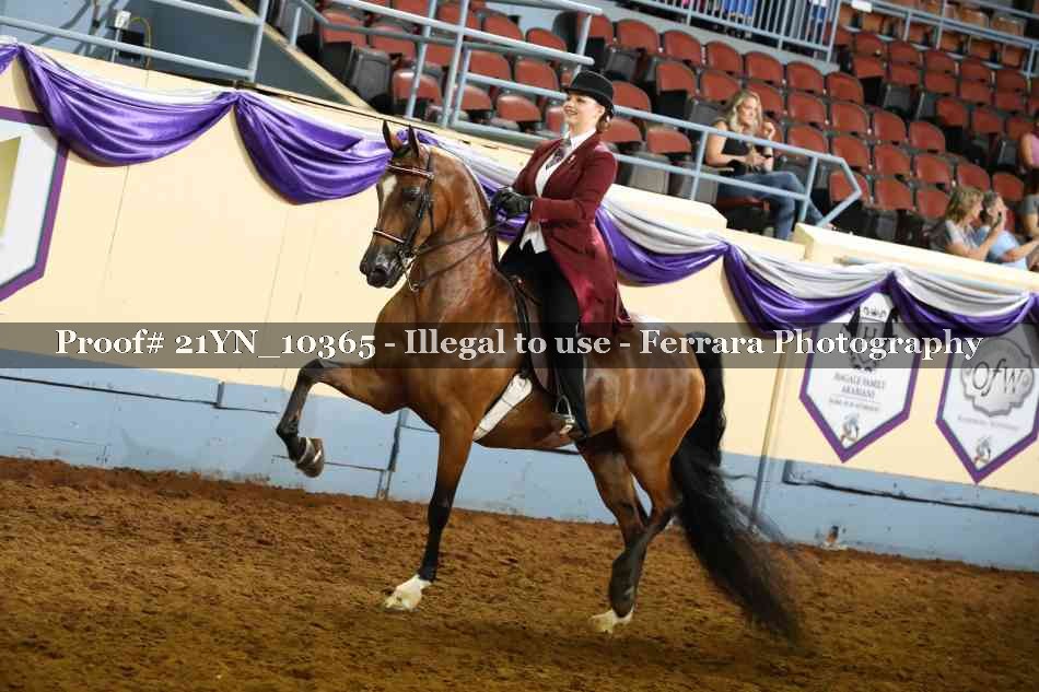 Proof 21YN_10365